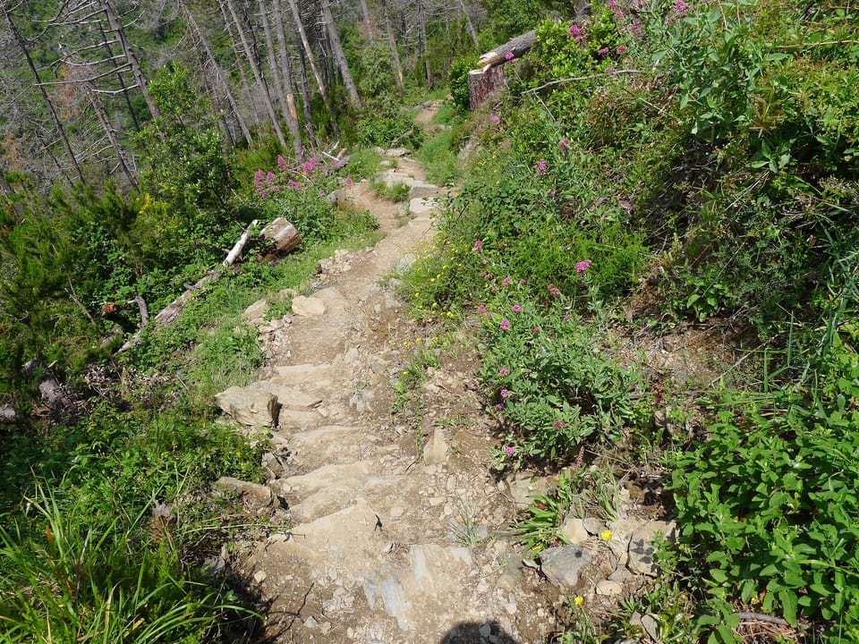Getting Back Up to Speed – Again
